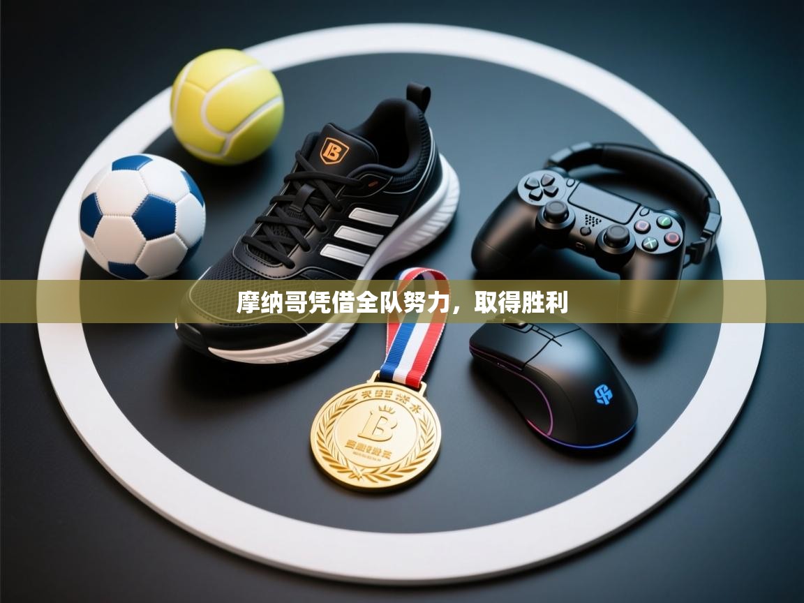 摩纳哥凭借全队努力,取得胜利 第1张