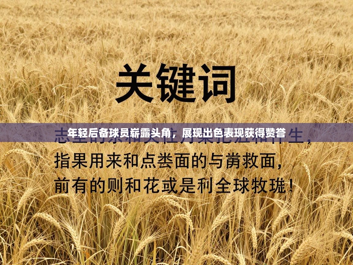 年轻后备球员崭露头角,展现出色表现获得赞誉 第1张