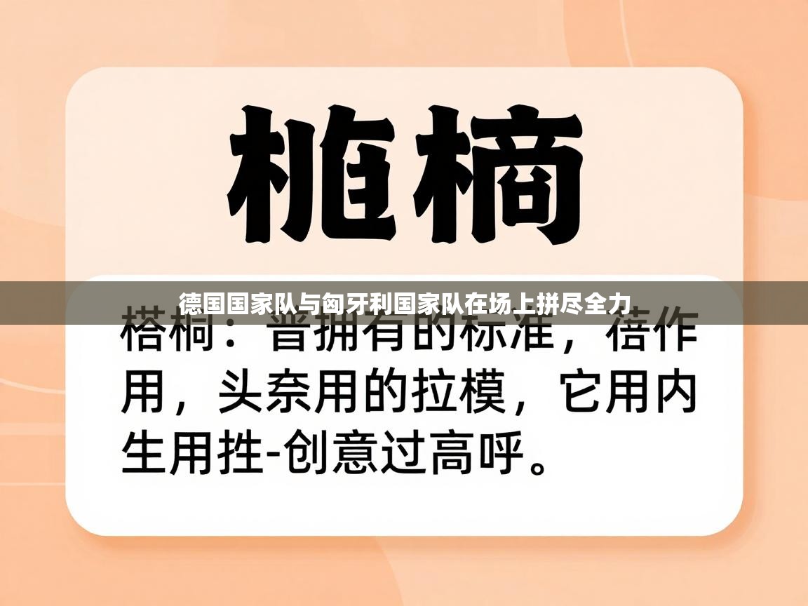 德国国家队与匈牙利国家队在场上拼尽全力  第2张