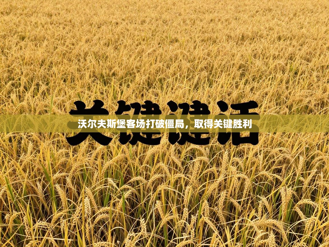 沃尔夫斯堡客场打破僵局,取得关键胜利 第2张